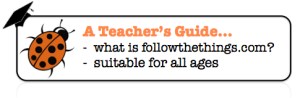 ftt teachers guide button
